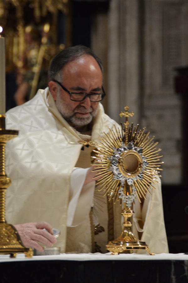 Corpus catedral de Oviedo 29-5-2016 (199) (599x900)