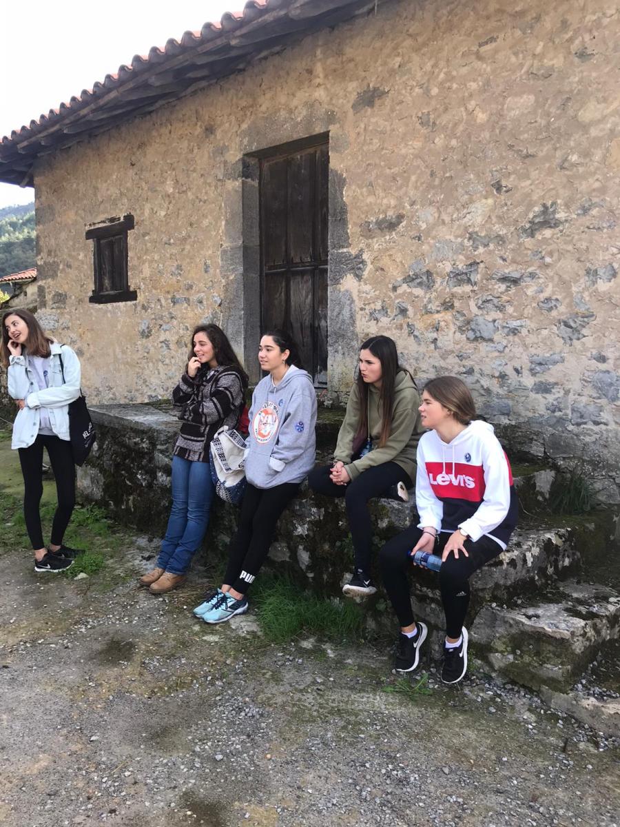 c1a52240-d26f-4735-9247-eac28cf020be